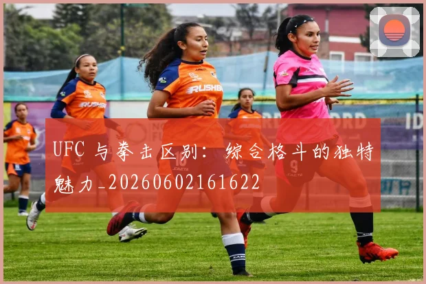 UFC 与拳击区别：综合格斗的独特魅力_20260602161622