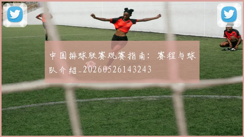 中国排球联赛观赛指南：赛程与球队介绍_20260526143243