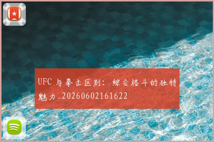 UFC 与拳击区别:综合格斗的独特魅力_20260602161622
