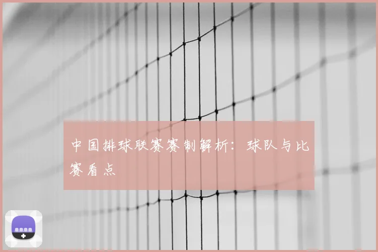 中国排球联赛赛制解析：球队与比赛看点