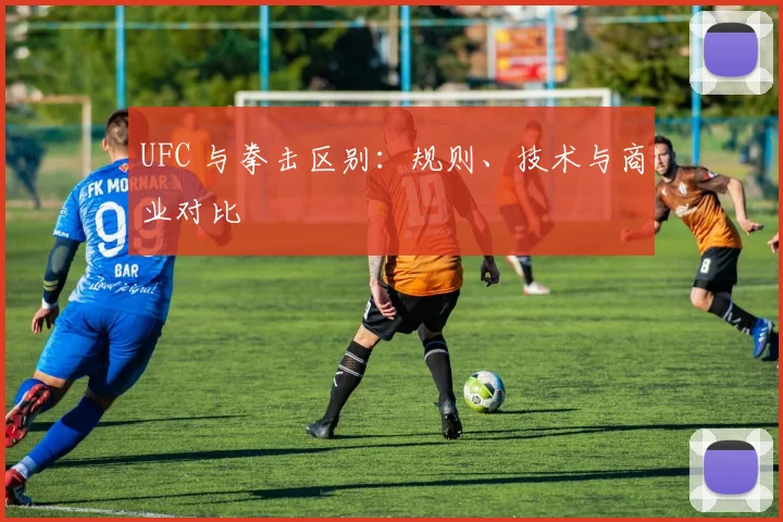 UFC 与拳击区别:规则、技术与商业对比